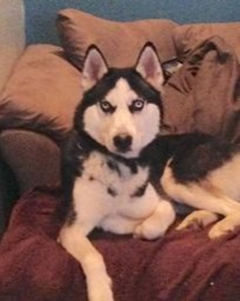 Remington Morningstar Profile Photo