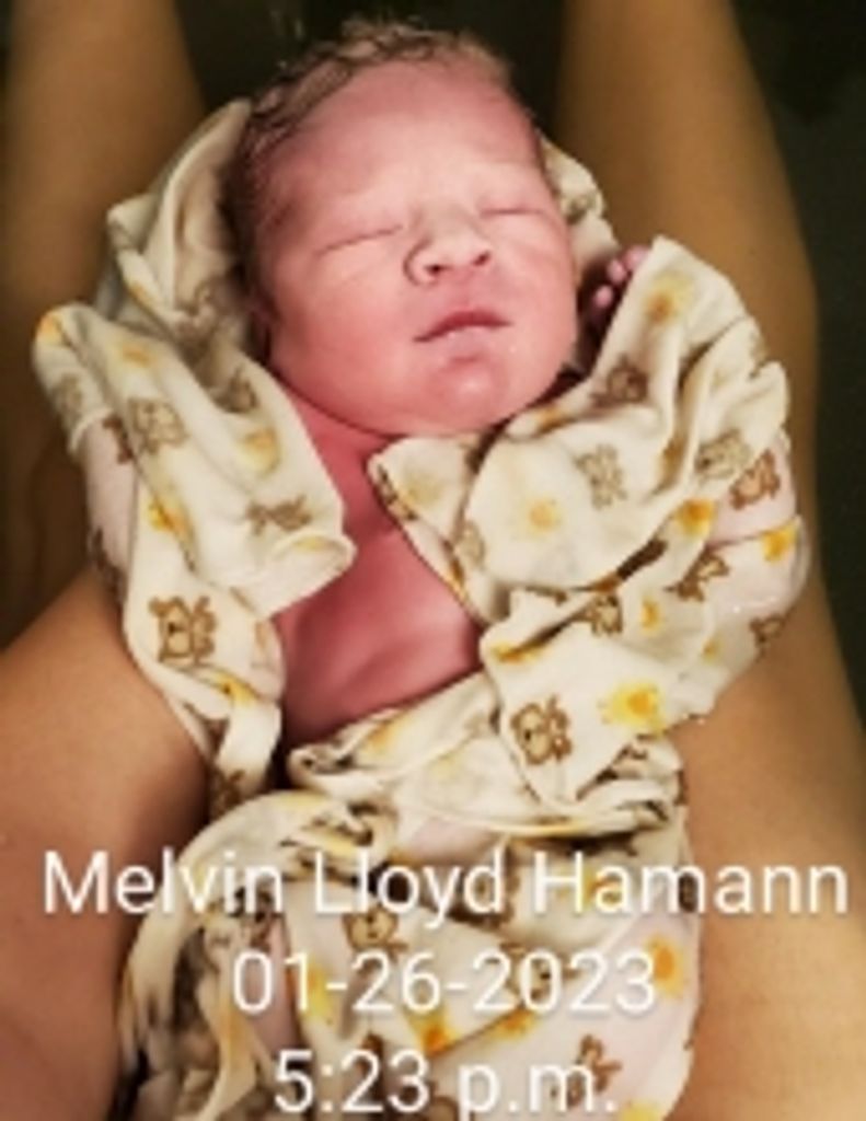 Melvin Lloyd Hamann Profile Photo
