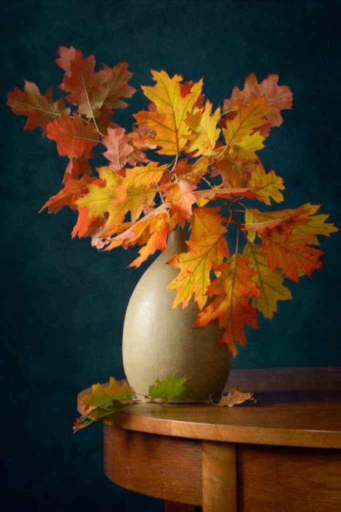 Philip G. Upshaw Profile Photo