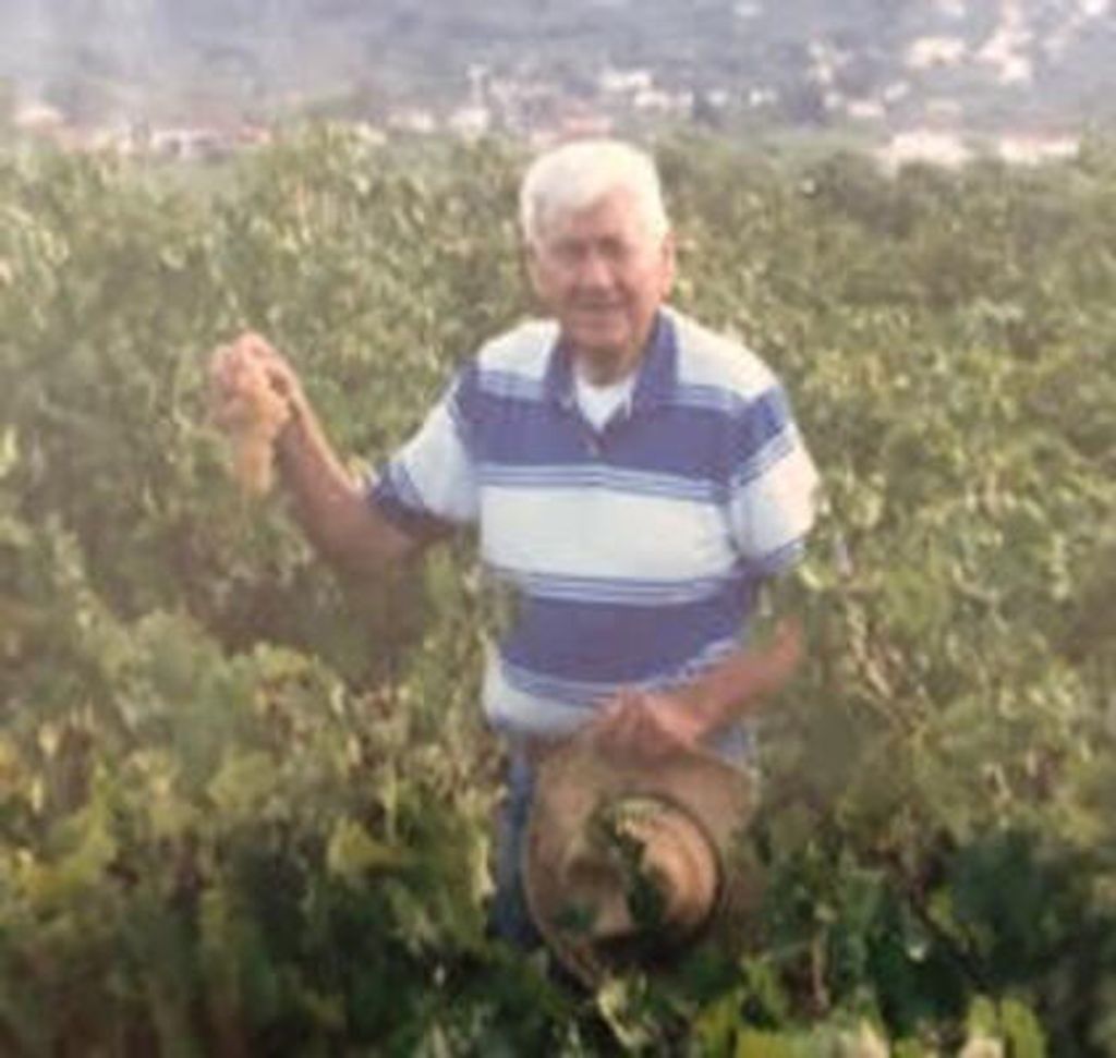 Tony P. Struzas Profile Photo