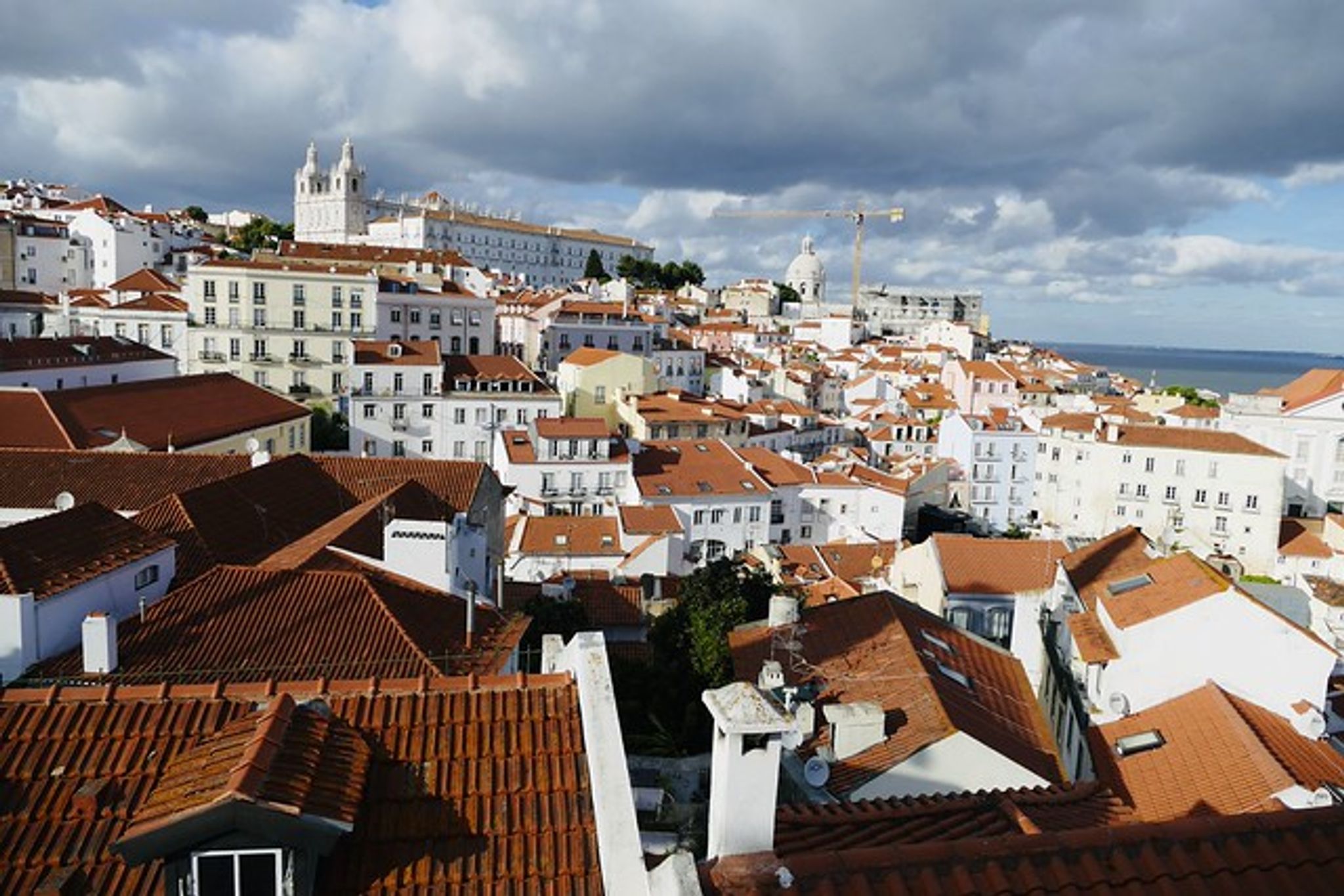 Cover photo for Fernanda Rodrigues's Obituary