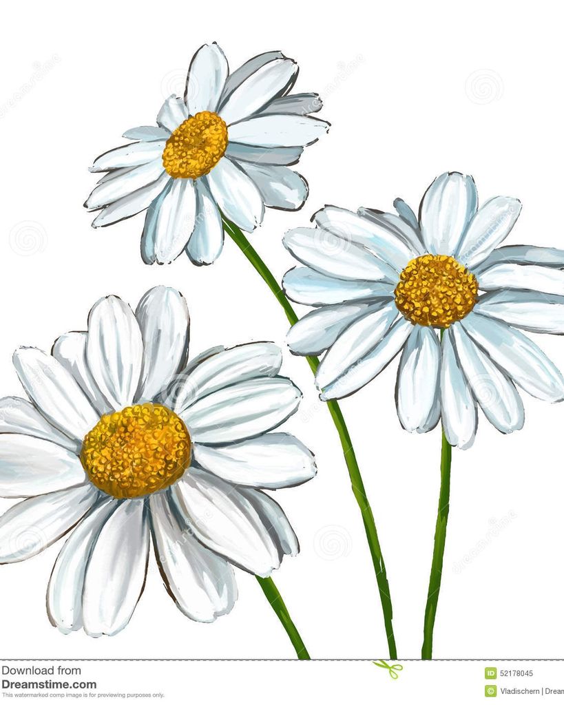 Wayne Douglas Mabb Profile Photo