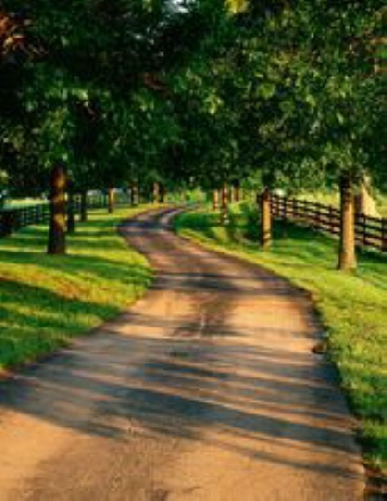 Donald "Sock-Um" Posey