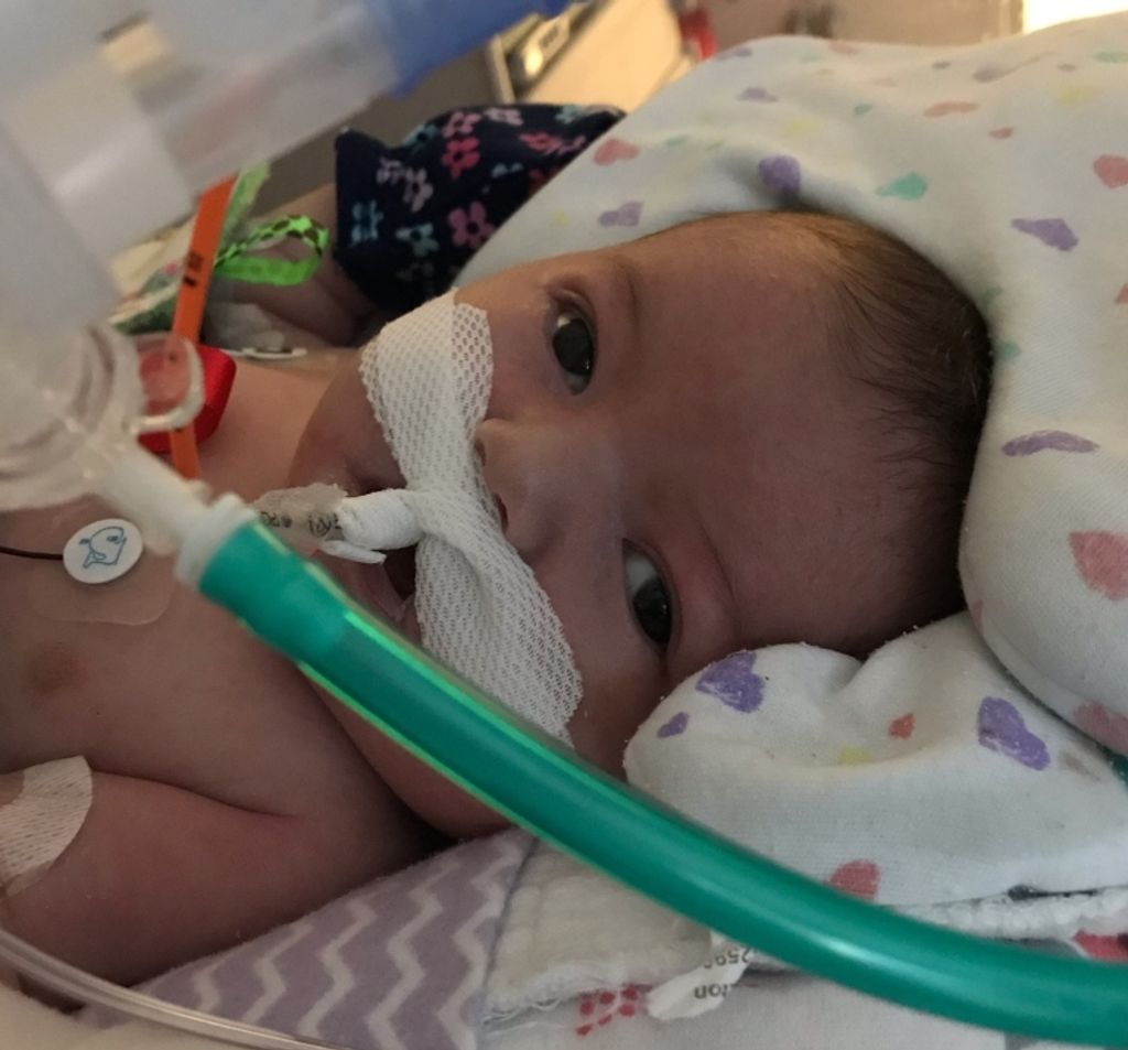 Luna Grace Frey