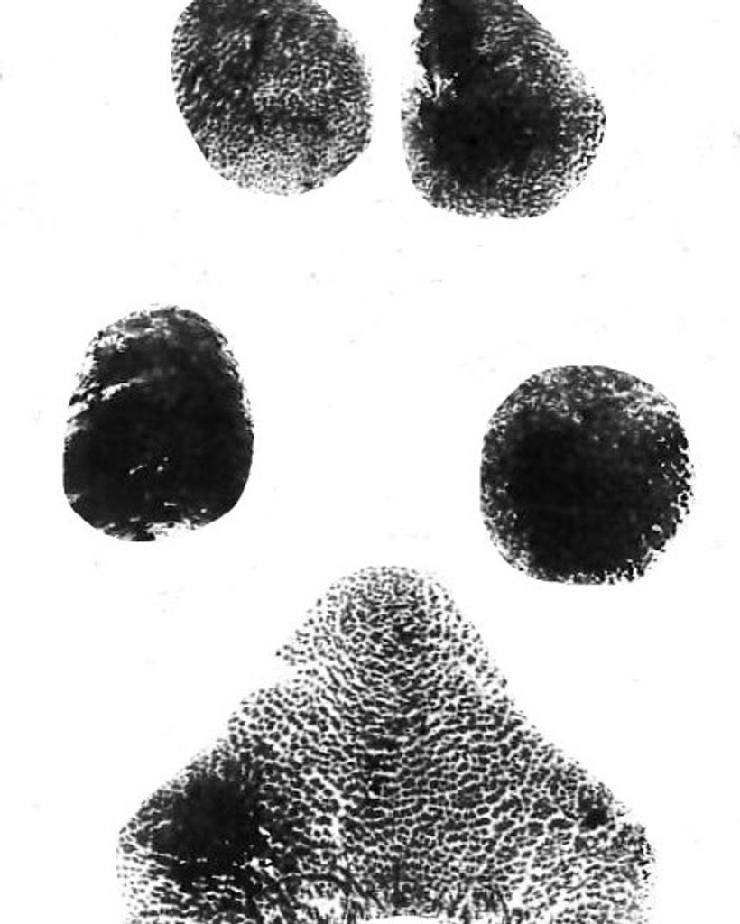 Molly Starnes Profile Photo