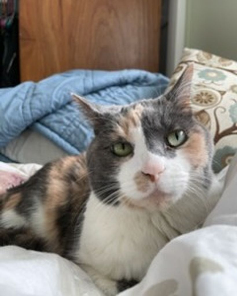 Glinda Graham Profile Photo