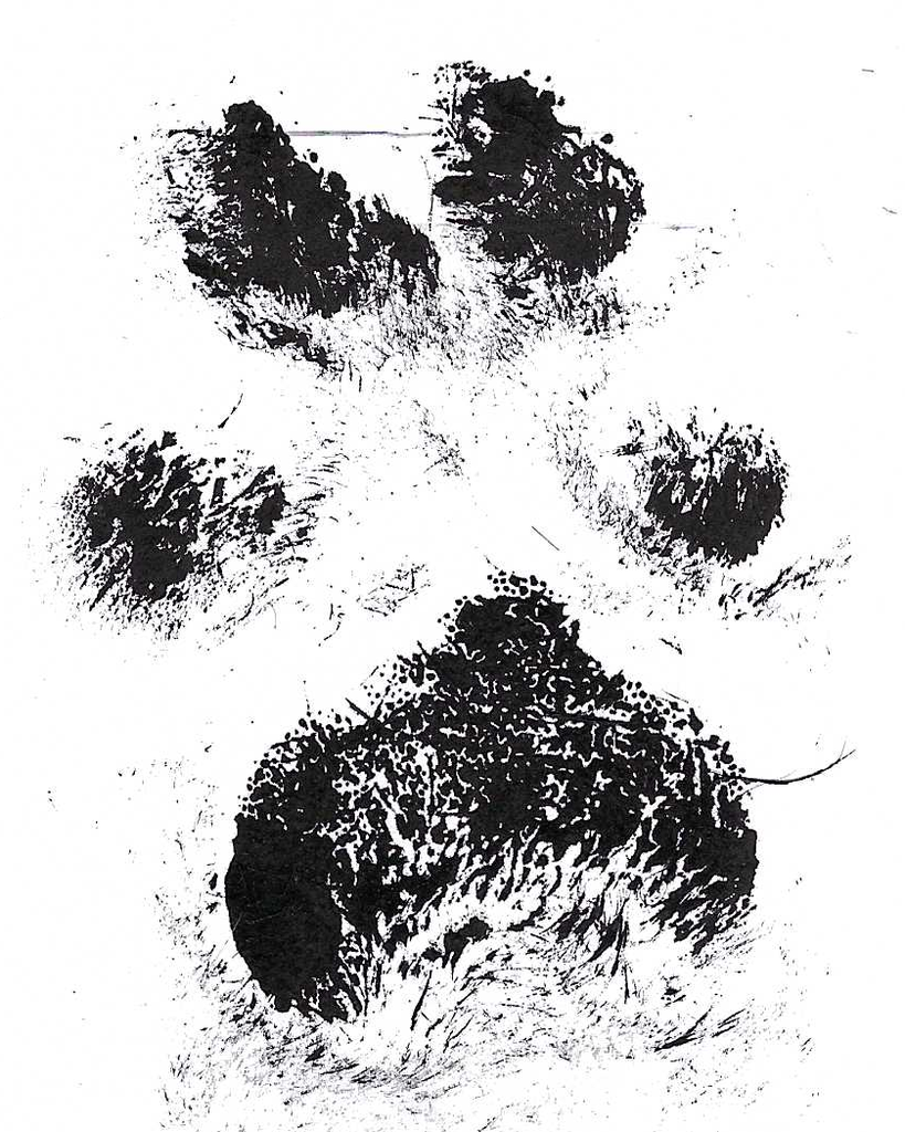 Tyson Casey Profile Photo