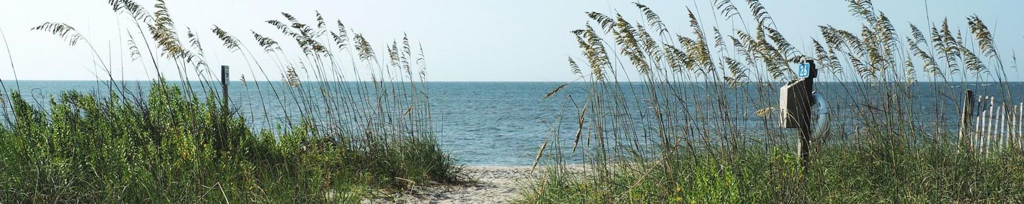 Cover for Sandra "Sandy" W. Wagoner's Obituary