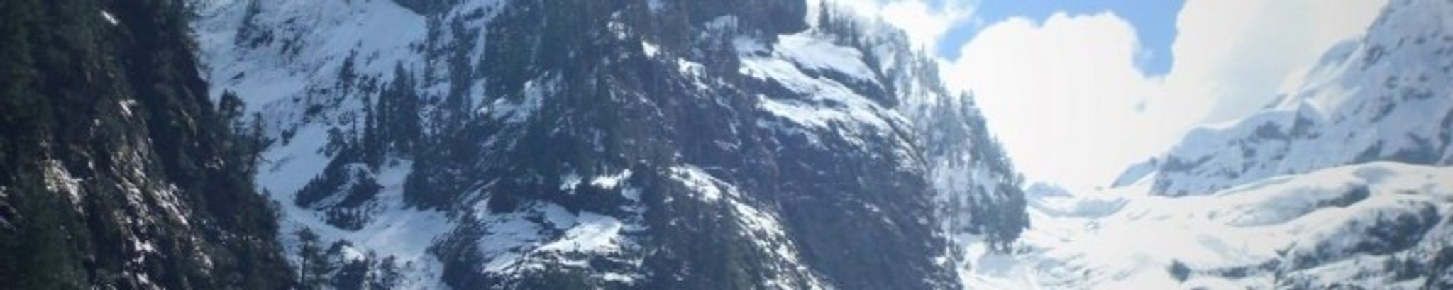 Cover for Aurora Sue Weythman's Obituary