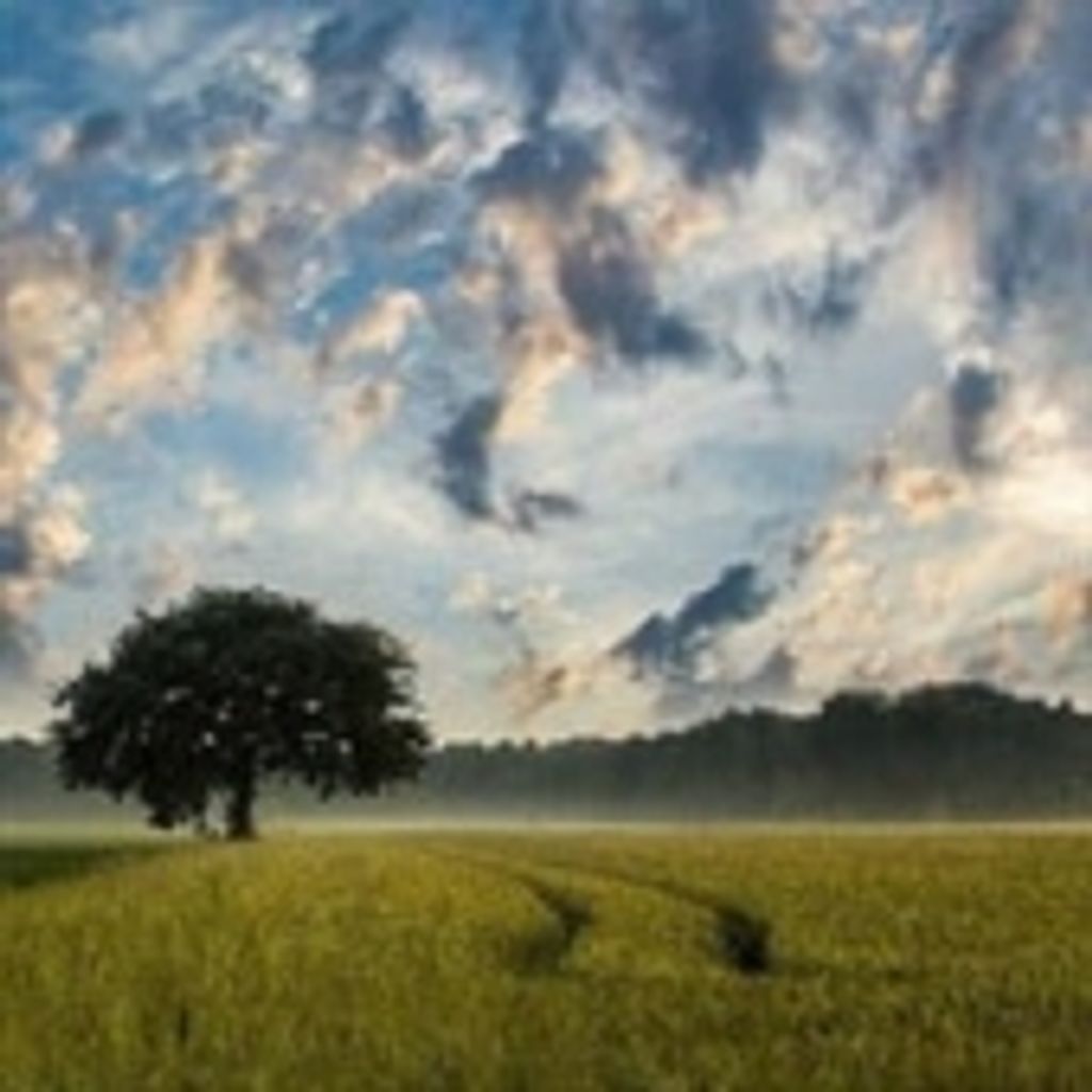 Michael Charles Meier