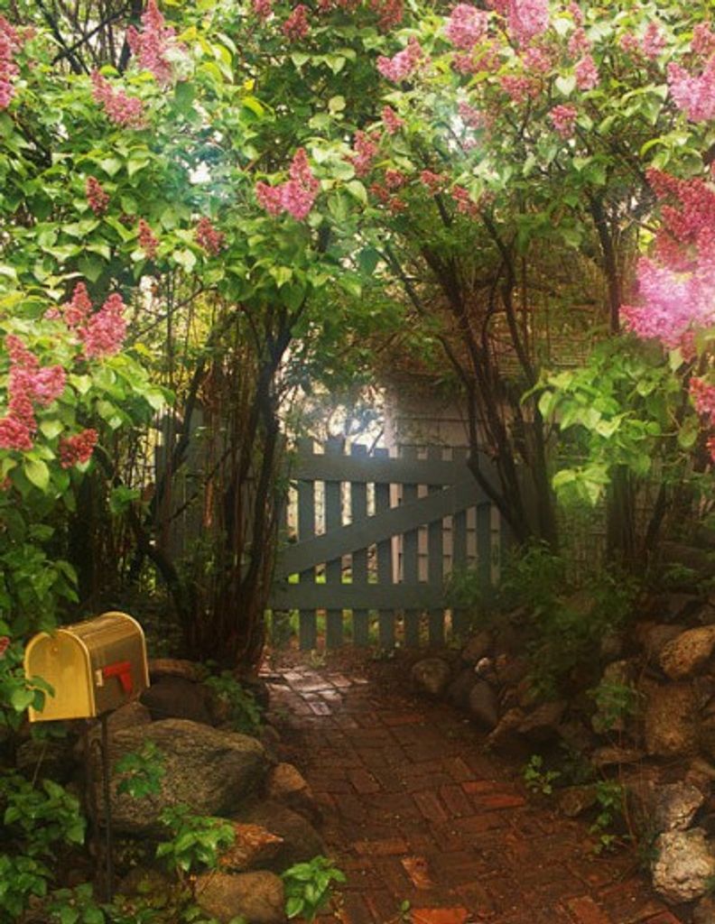 Grace Elizabeth Neff Profile Photo