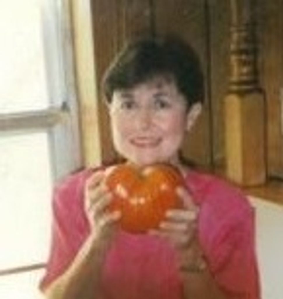 Margie High