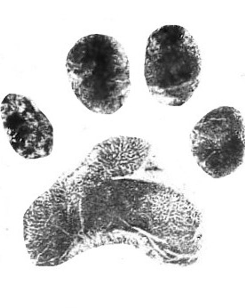 Oliver Mullinax Profile Photo