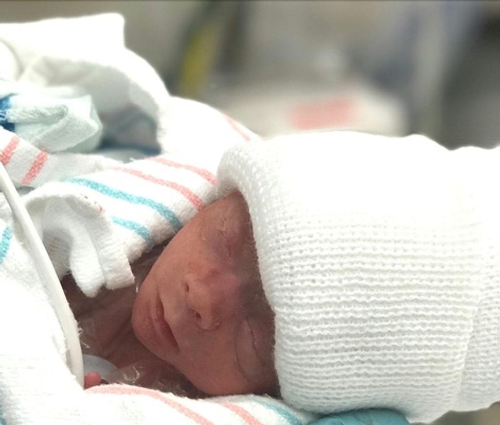 Daxx Wesley Sylvan