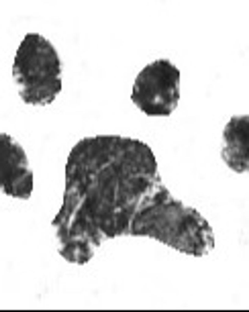 Sunny Patterson Profile Photo