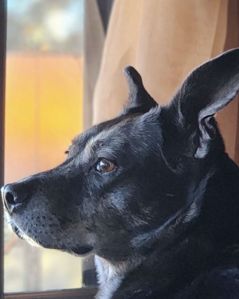 Dixie Philyaw
