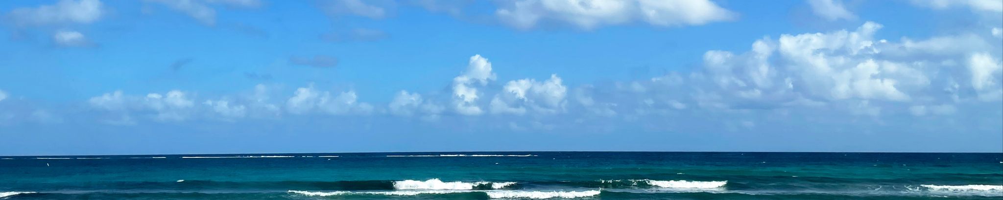 Cover for David Katz's Obituary