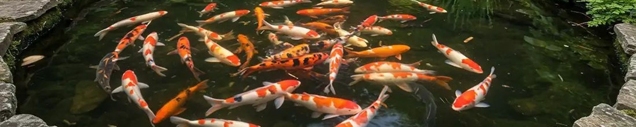 Cover for Mary Yufer's Obituary