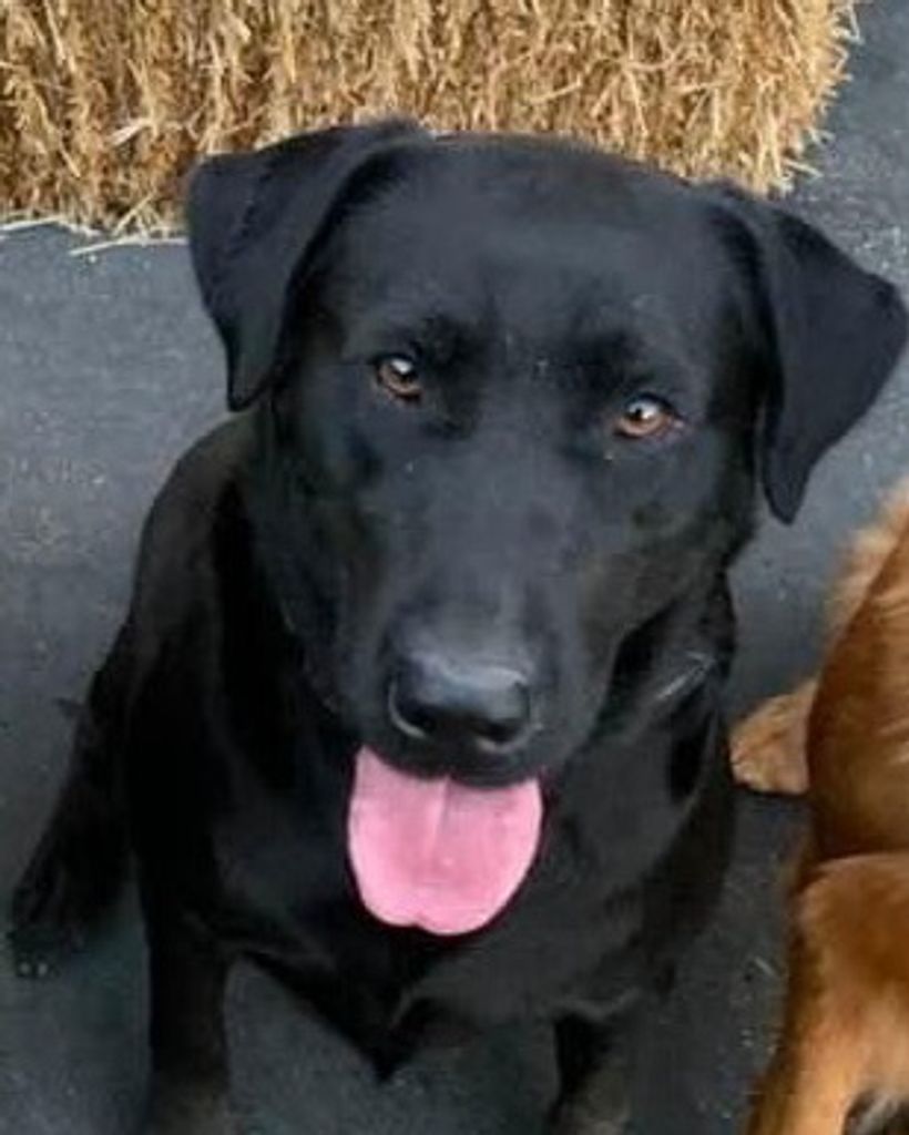 Bentley Spencer Profile Photo