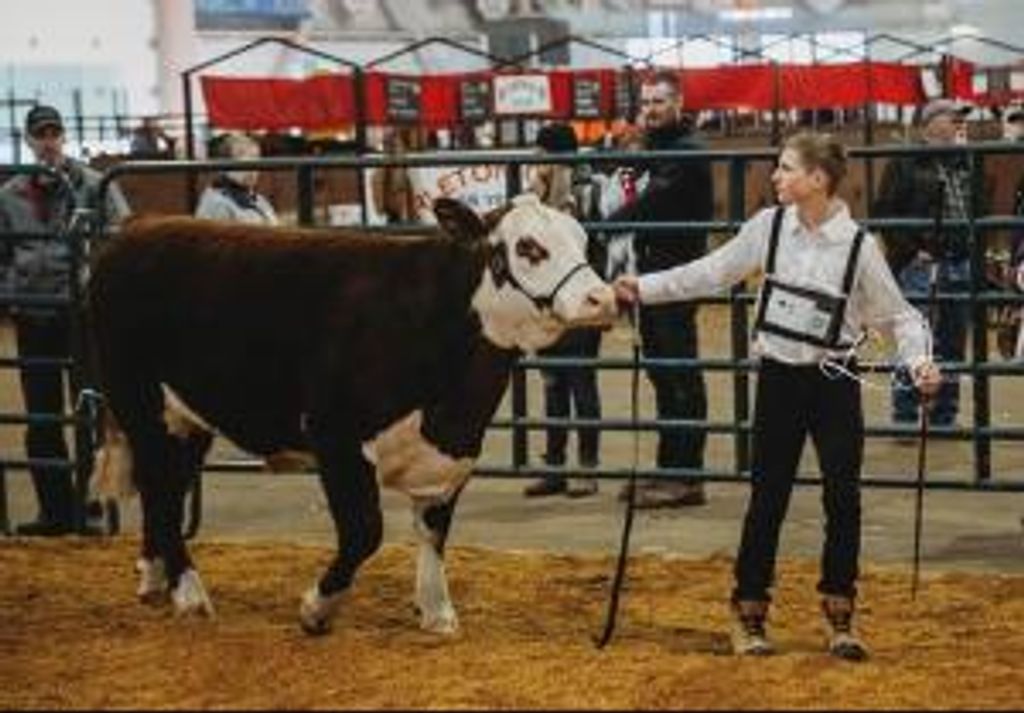 Evan William Jeremiah Graham Profile Photo