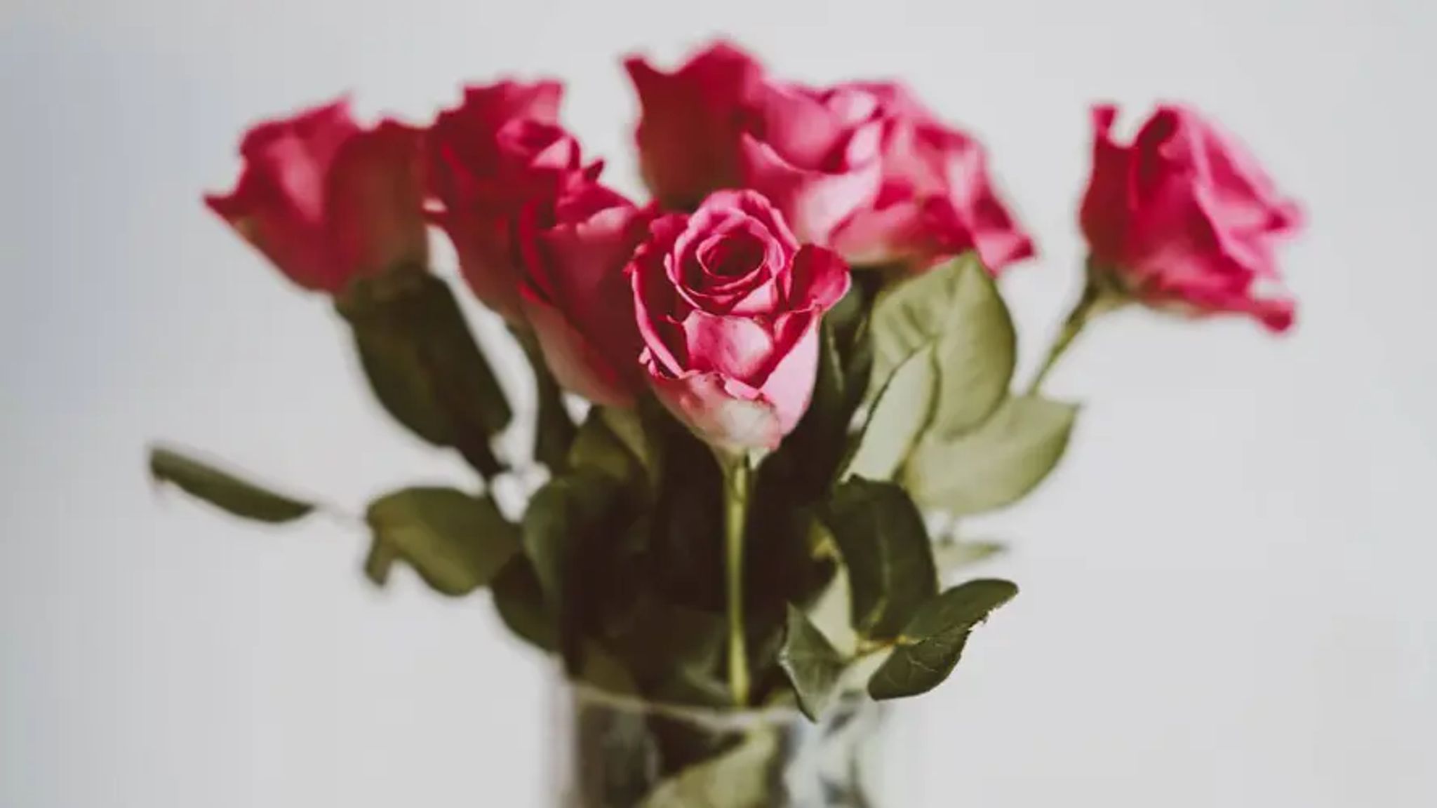 Cover for Lucille (Lu) Hennessey's Obituary