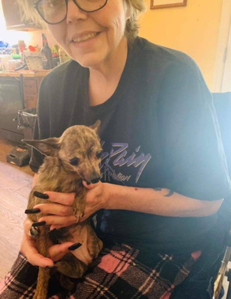 Sonya Lee Allen Profile Photo