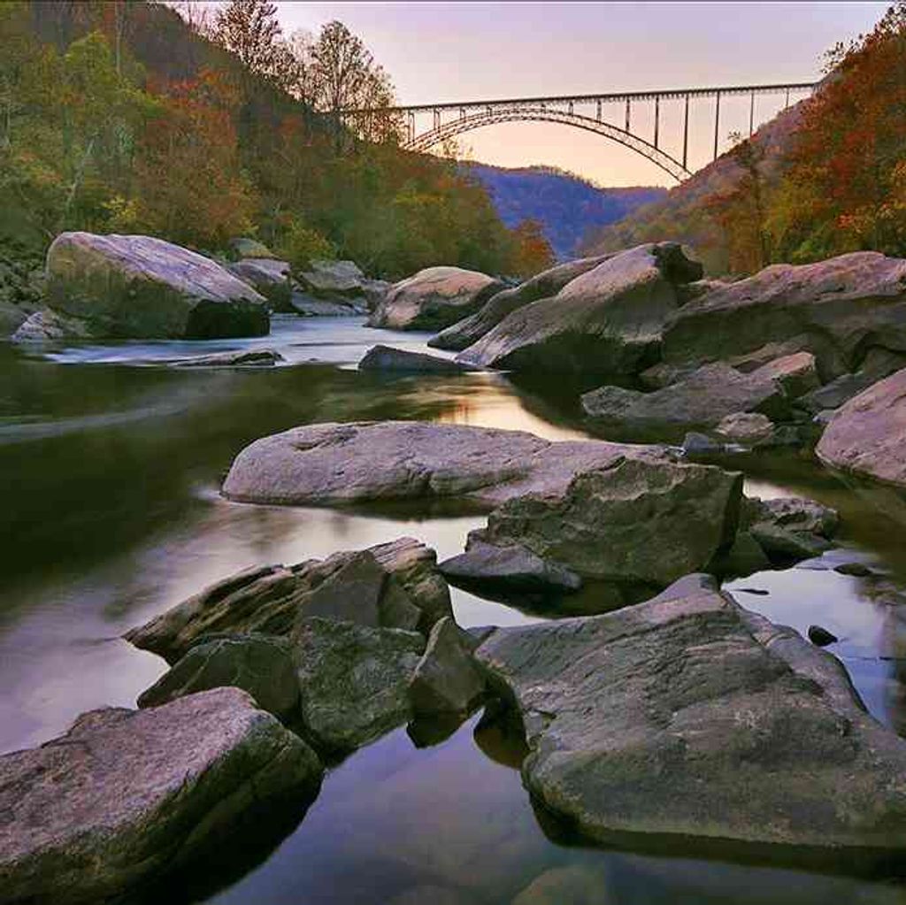Nancy Stafford Guin Profile Photo