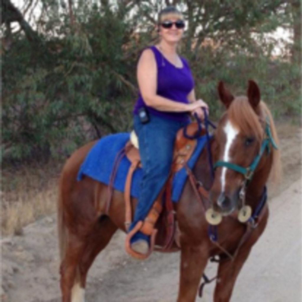 Susan Denise Smeins Profile Photo