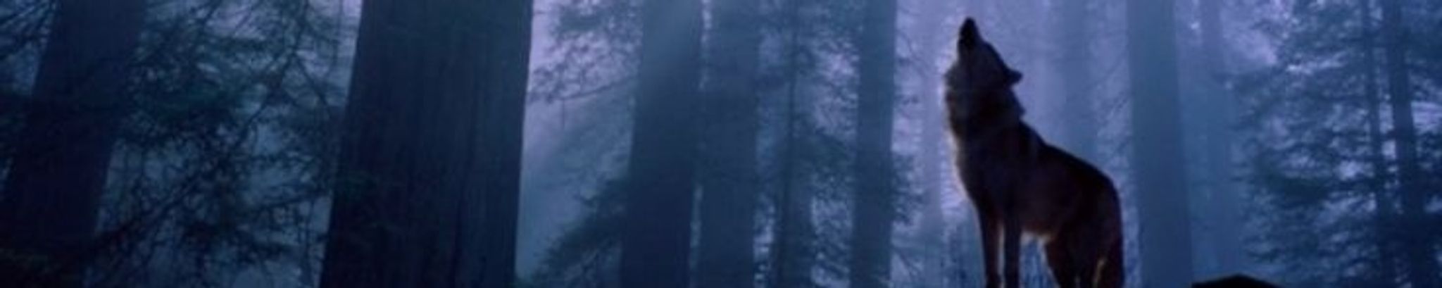 Cover photo for Nicholas Aiden Hofferber's Obituary