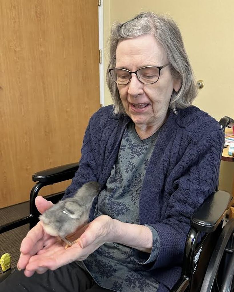 Lois Jean Yarbrough Ambelang Profile Photo