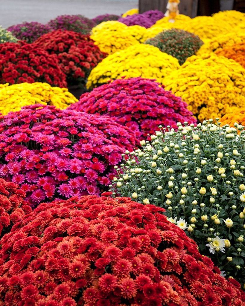 Madeline Beatrice (Hollingsworth) Weeks Profile Photo