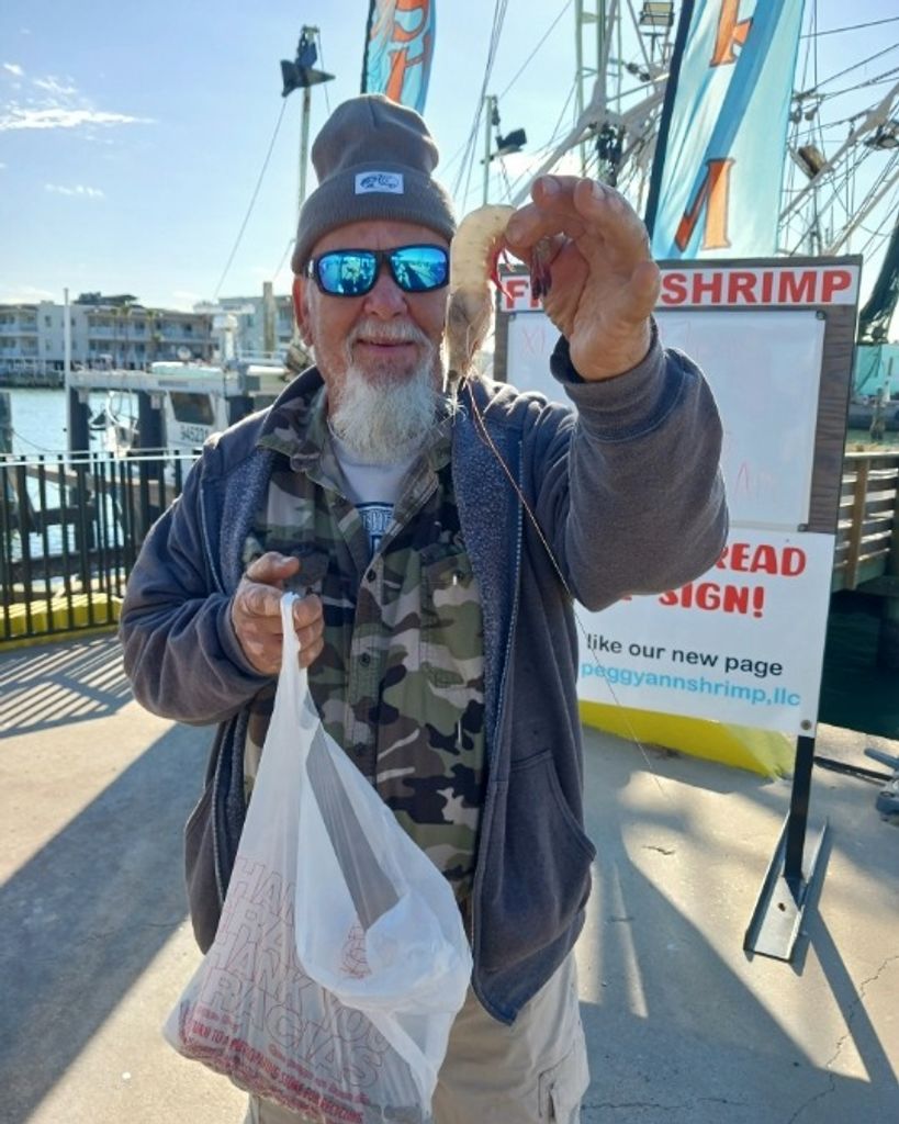 Rocky Pietila Profile Photo