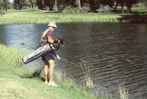 David Bewick Syme photo gallery thumbnail 33 of 70