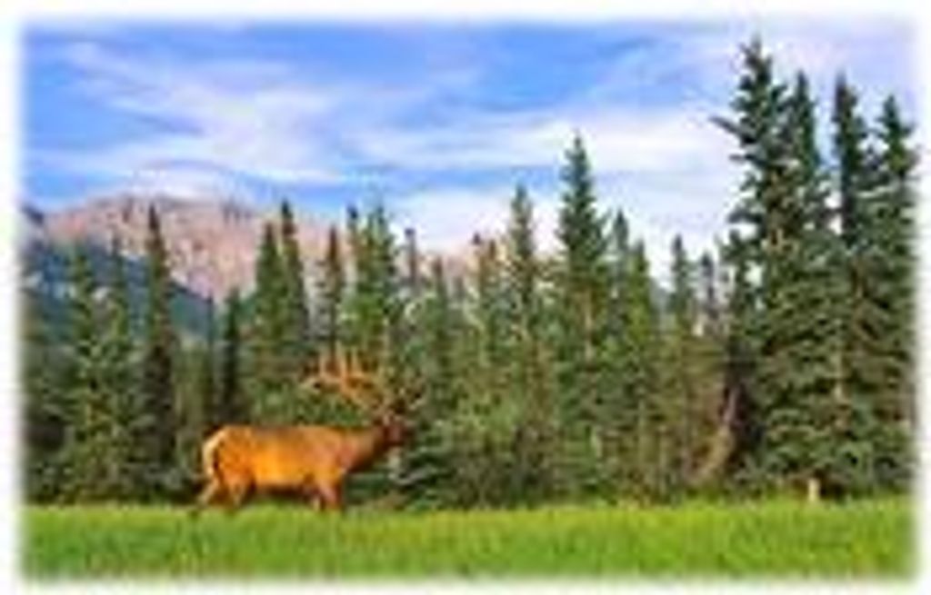 Alfin Earl Aspleaf Jr.