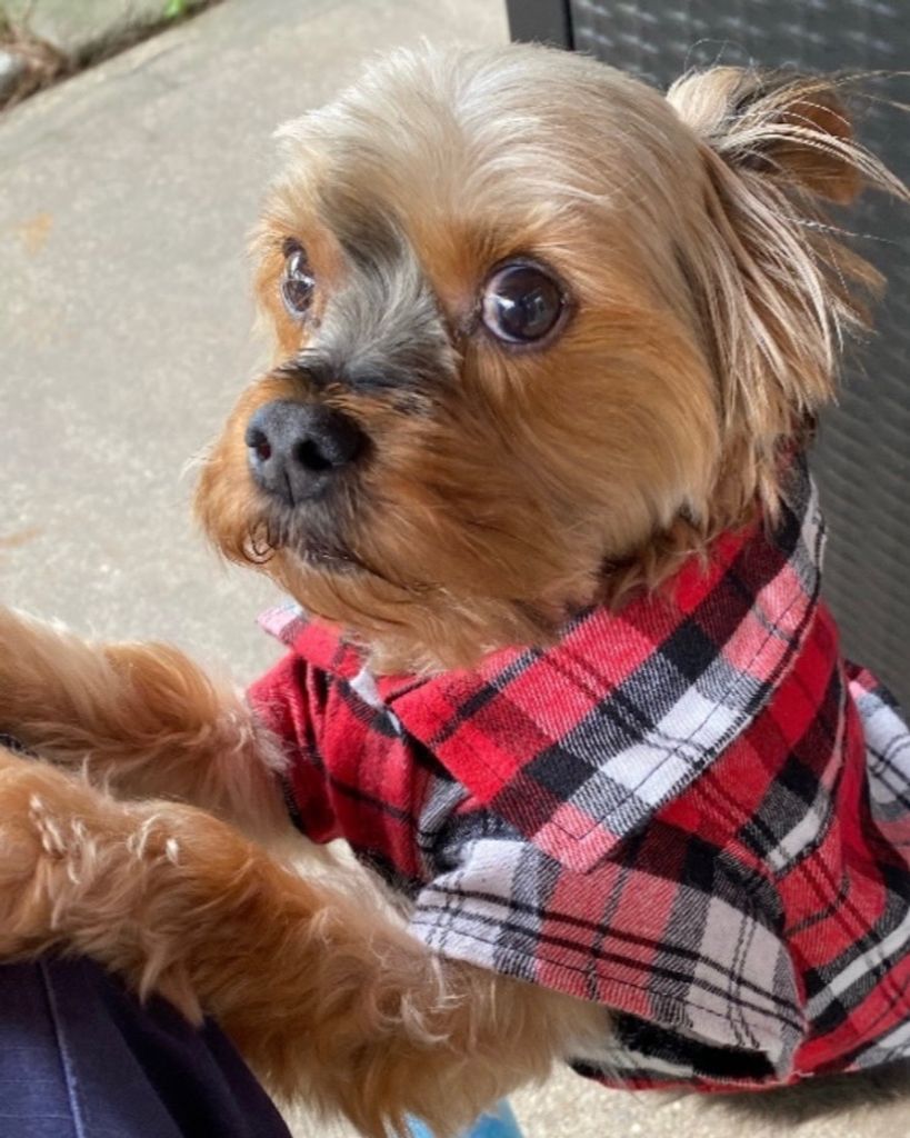 Max Hollinger Profile Photo