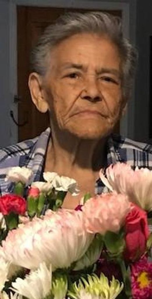 Carmen L. Diaz Profile Photo