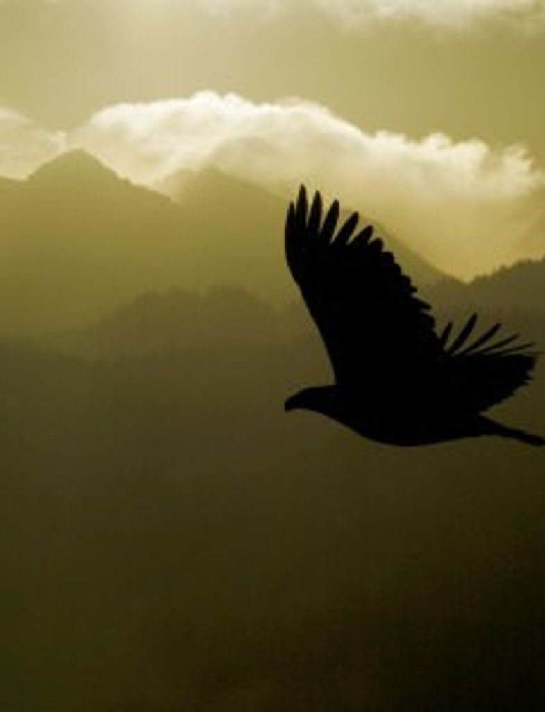 John T. Bishop Profile Photo