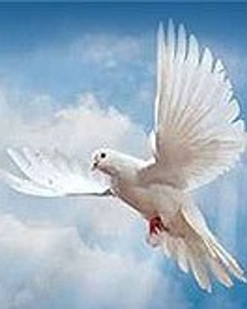 Patricia Ray Farley Profile Photo