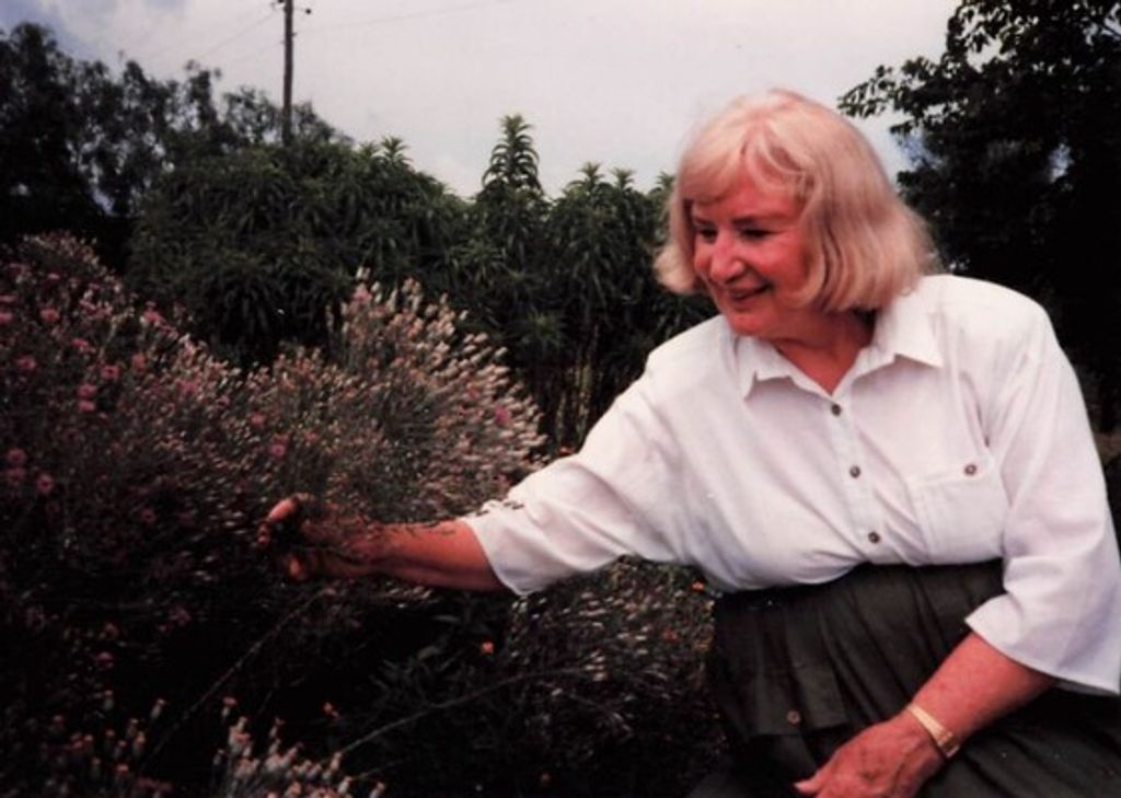 Dorothy Newport Profile Photo
