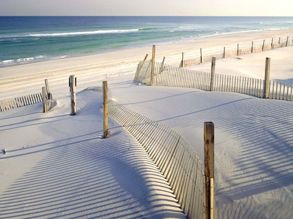 Wayne Hoffman Profile Photo