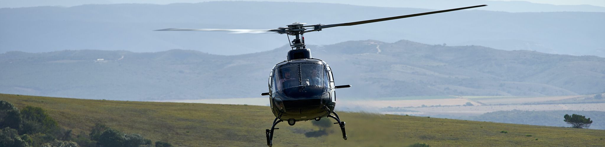 Cover for David McCutcheon's Obituary