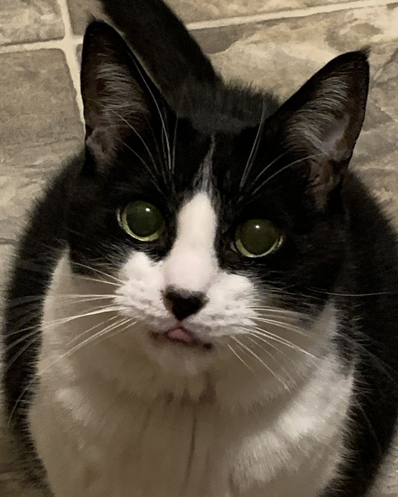 Bella Brown Profile Photo