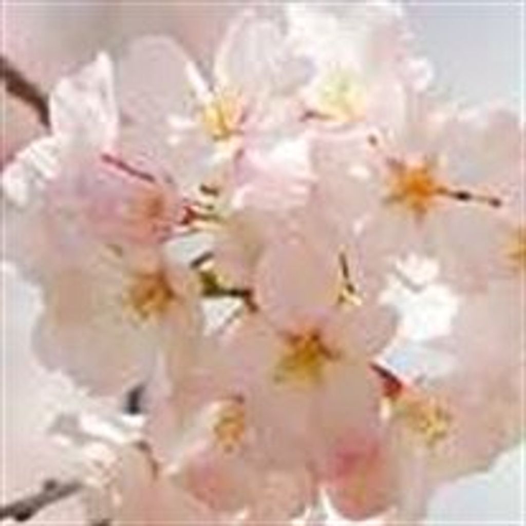 Joanne  Martin Packer