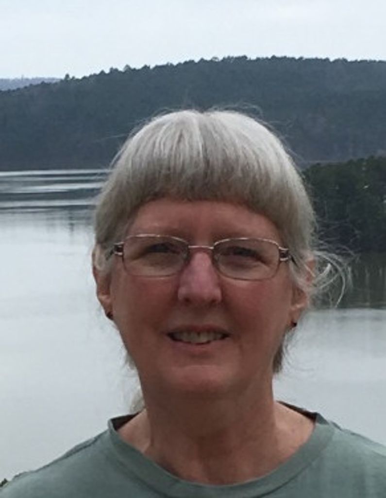 Robin Rogillio