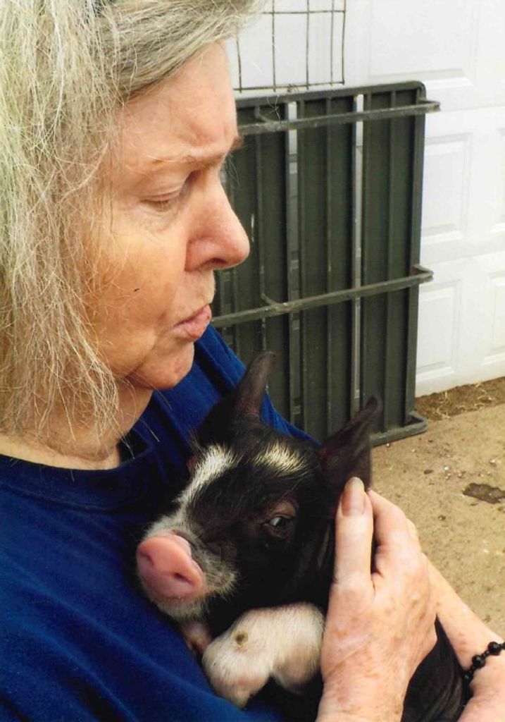 Nancy Jane Long Profile Photo