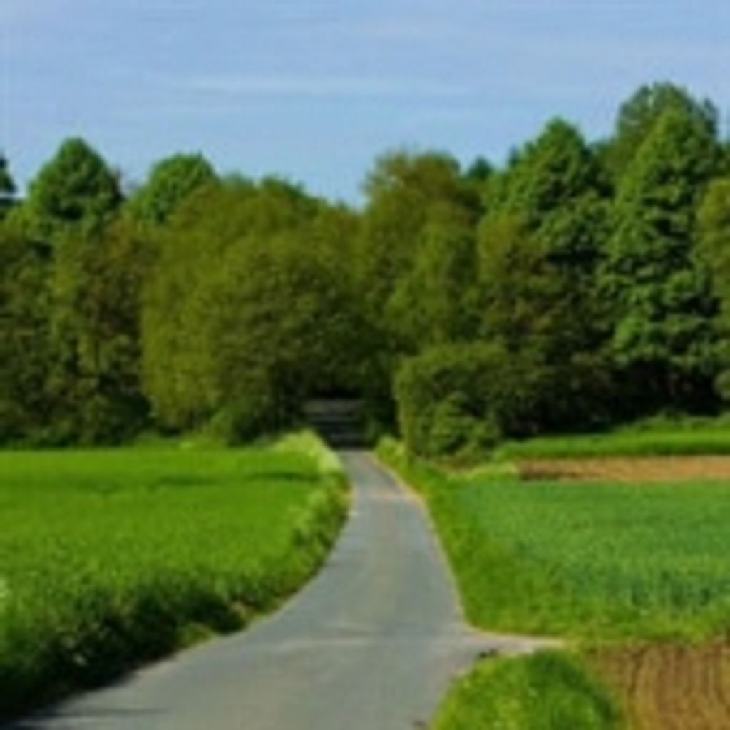 Julian Adair Plaisted