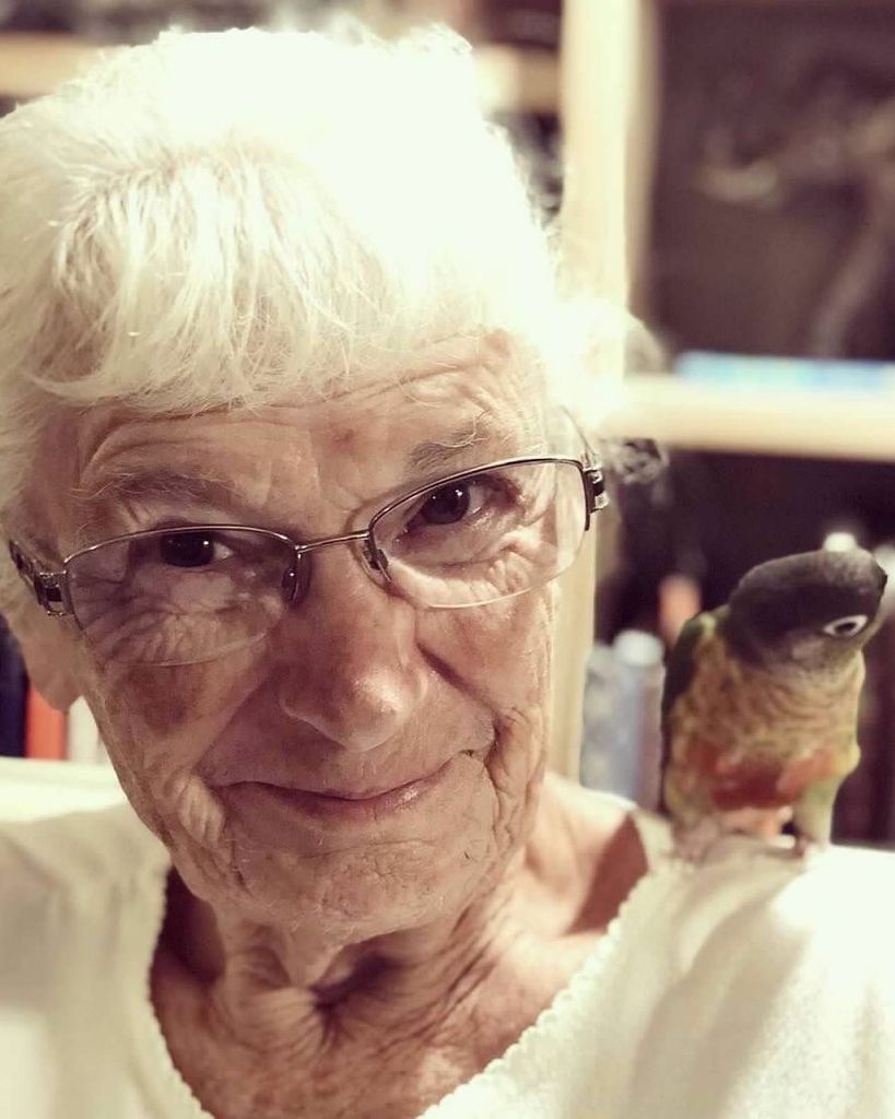 LaDonna Witmer Profile Photo