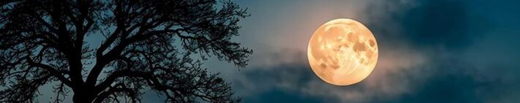 Cover for Kelly Ann Pooler's Obituary