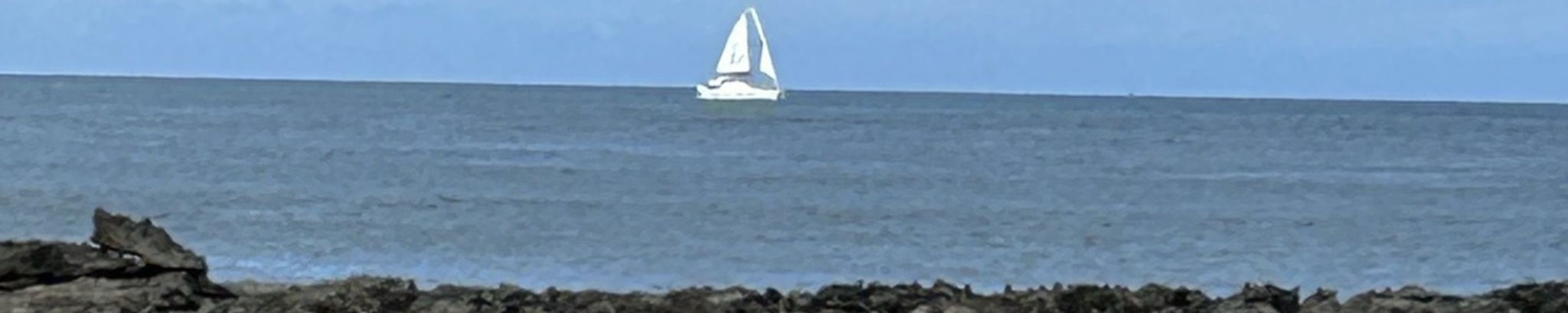 Cover for Dean L. Halverson's Obituary