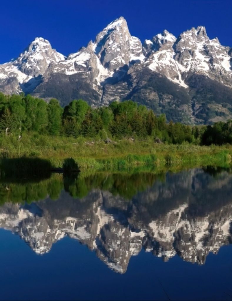 Lucille Marie Nichols Profile Photo